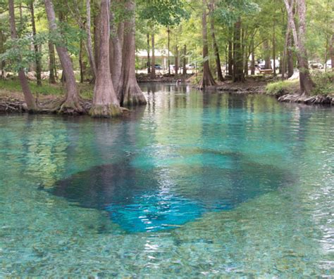 The Best List Of Caves In Florida World Of Caves