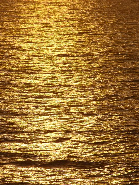 An Ocean Of Gold 7 Photograph By Cody Cookston Fine Art America