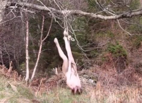 【動画】森の中で自分を縛りつけた全裸女、動けなくなってしまいこうなる ポッカキット