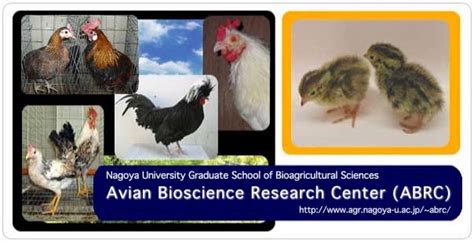 Avian Bioscience Research Center Abrc