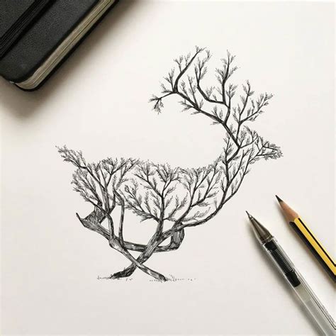 Pen And Ink Animal Illustrations By Italian Artist Alfred Basha