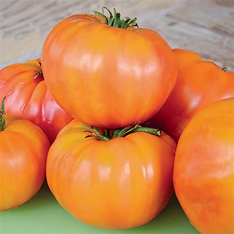 15 Ag And Culinary Pros Share Their Favorite Heirloom Tomatoes Modern
