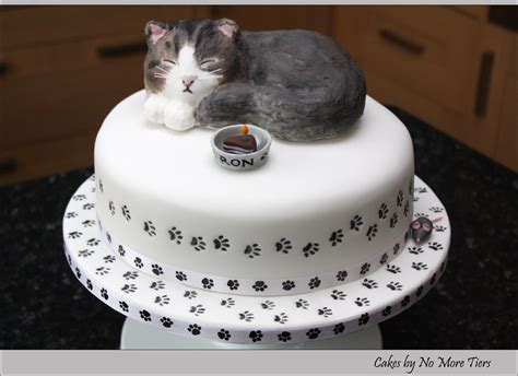 Check spelling or type a new query. Sculpted cat cake with edible cat topper | Cake for a ...
