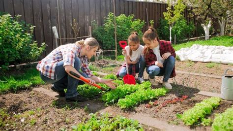 Que planter dans le jardin au printemps ? | O-devis.fr