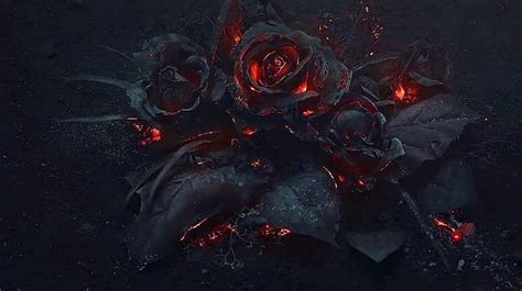1284x2778px 2k Free Download Roses On Fire Black Dark Rose