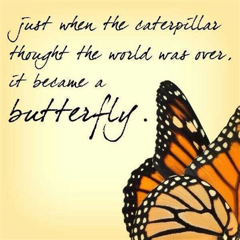 Quotes About Angels And Butterflies Quotesgram