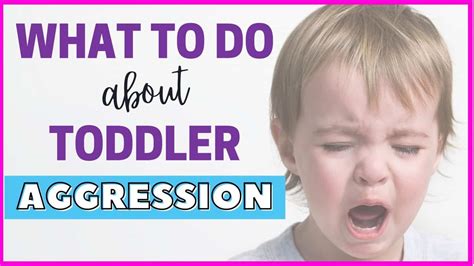 9 Tips To Deal With Toddler Aggression Prevention And How To Guide
