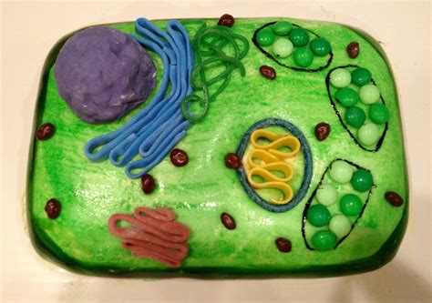 Custom Cakes By Eileen Plant Cell Cake