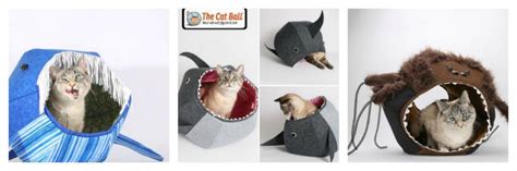 Coo Coo Catchoo The Cat Ball And Cat Canoe Beautiful