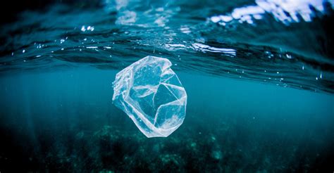 Researchers Reveal Secret To Cleaning Up Oceans Floating Plastic