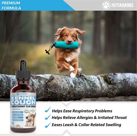 Mua Kennel Cough Treatment For Dogs Dog Cough Suppressant Dog Cough