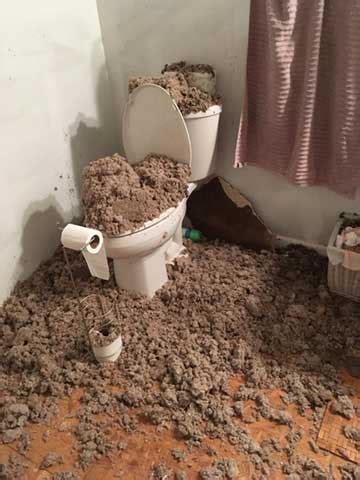 Bathroom caulk eventually wears away and will allow water to enter the walls and drip down to the ceiling. Upstairs Bathroom Shower is Leaking Through The Ceiling ...