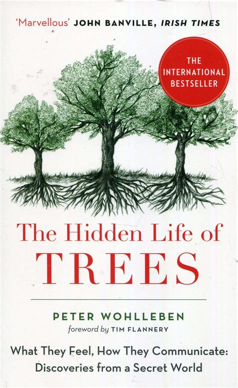 The Hidden Life Of Trees Wohlleben P 9780008218430 Books