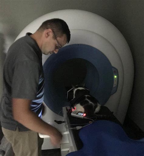 Find homes for sale and real estate in lubbock, tx at realtor.com®. CT Scan - Lubbock Small Animal Emergency Clinic
