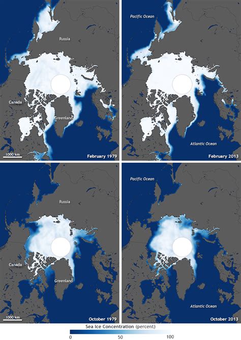 Despite Antarctic Gains Global Sea Ice Is Shrinking Noaa