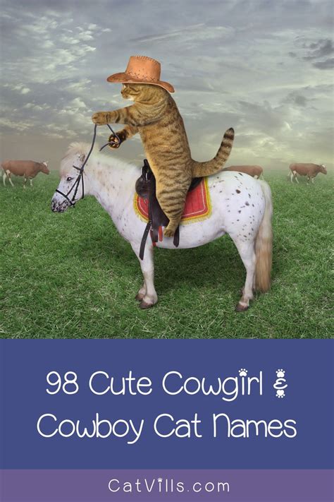 98 Cute Western Cat Names For Cowgirl Cowboy Cats Artofit
