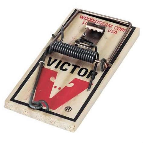 Victor Metal Pedal Mouse Traps 24 Pack Victor Snap Trap Wooden Mice