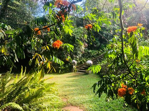 Home garden (colombo) with ornamental plants the tropical climate of sri lanka augurs well for plant life and it is very common. Bevis Bawa's Sri Lankan masterpiece - The Brief Garden