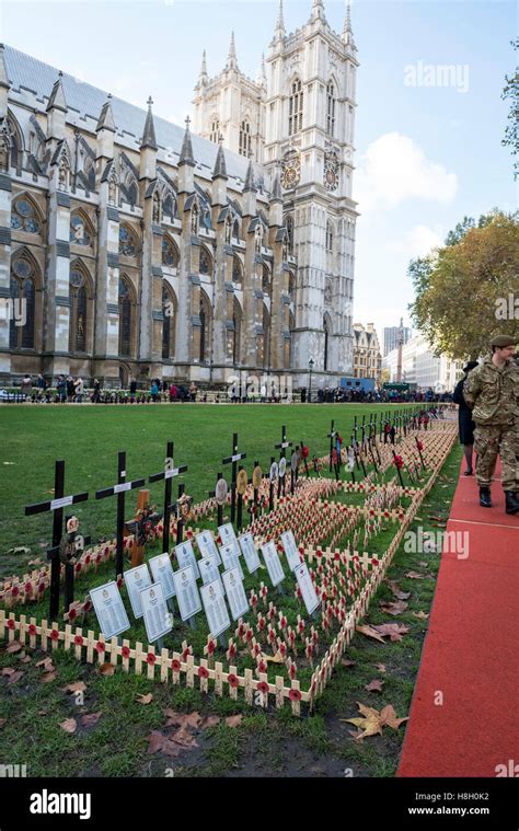 London Uk 13 November 2016 Poppies Outside Westminster Abbey Are Seen As People Gather In