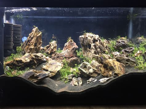 10g Dragon Stone And Moss Aquascape Aquarium Aquarium Fish Tank
