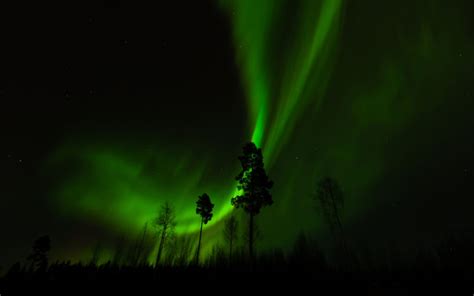 Aurora Borealis Northern Lights Night Green Trees Stars Sky