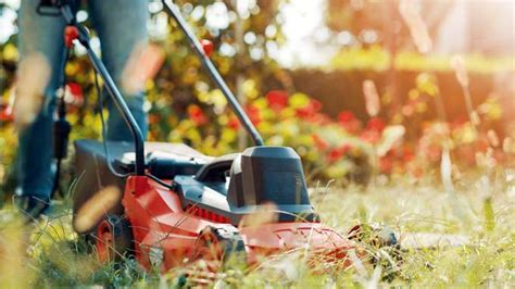 Easier And Greener How To Electrify Your Lawn Care Routine