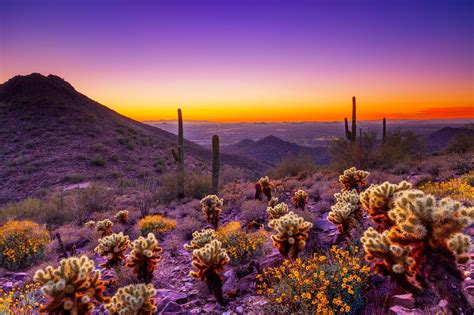 How To Spend A Week In Arizona Part Ii Scottsdale Wüsten Sonnenuntergang Szenisch Im Freien