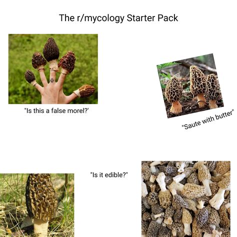 r mycology starter r starterpacks