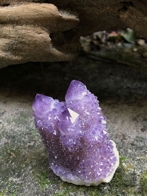 It is also called cactus quartz colorless spirit quartz purple purple spirit quartz *alias/ cactus amethyst yellow yellow. Dark Amethyst Spirit Quartz Crystal 70 gm, South Africa ...