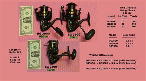 Daiwa BG Spinning Reels Review Size Comparisons Dimensions POBSE