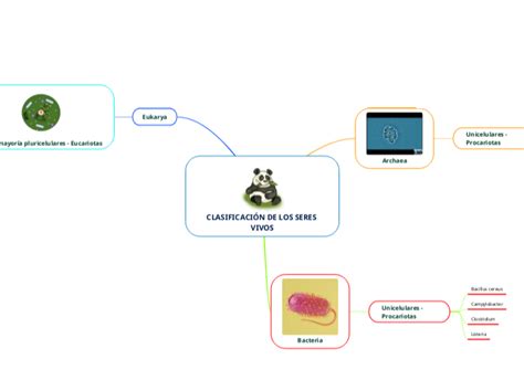 Clasificaci N De Los Seres Vivos Mind Map