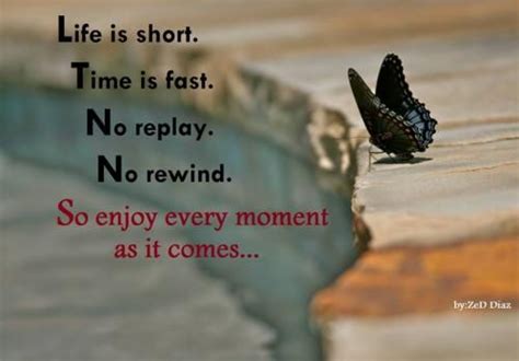 appreciate every moment quotes - Tìm với Google | Moments quotes, In ...