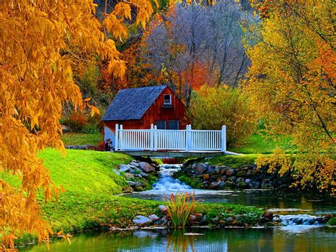 1920x1080px 1080p Free Download Forest House Stream Fall Pretty
