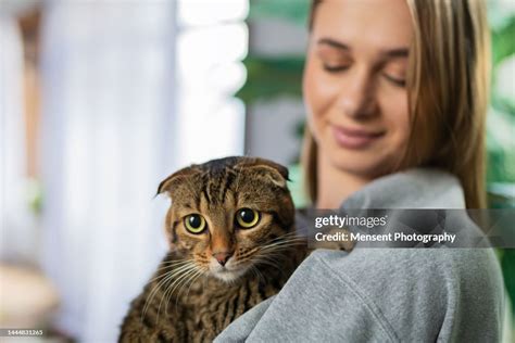 Young Woman Holding Her Tabby Cat At Home Closeup High Res Stock Photo