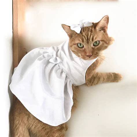 Make Your Cat Themed Wedding Dress Come To Life Jenniemarieweddings