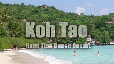 Koh Tao Thailand Haad Tien Beach Resort Shark Bay Hd Youtube