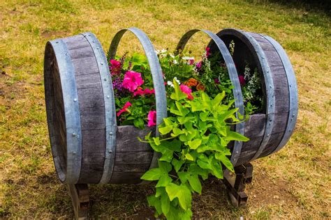 9 Whiskey Barrel Planter Ideas That Ll Brighten Up Your Homestead Theworldofsurvival