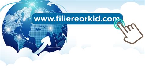 La filière se lance sur Internet ORKiD Filière de santé des maladies rénales rares