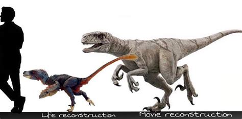 Atrociraptor Size Comparison Jurassic Park Know Your Meme