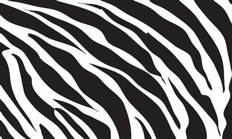 Free Download Amper Bae Zebra Print Backgrounds 1600x1066 For Your