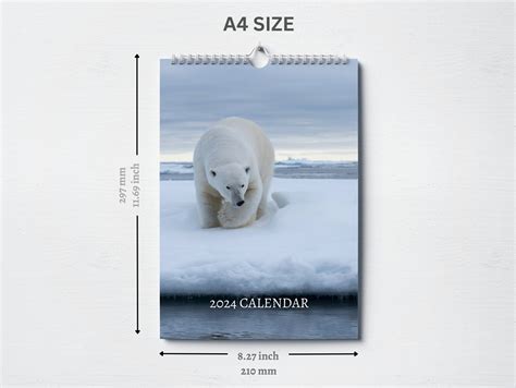 Polar Bear Calendar 2024 Monthly Wall Calendar A4 Hanging Calendar