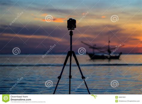 Photography Stock Image Image Of Gorgeous Dainty Forenoon 40831951