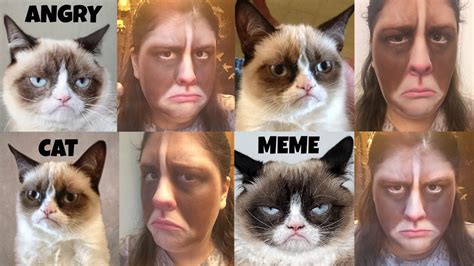Grumpy Cat Meme Tutorial ♡ Youtube