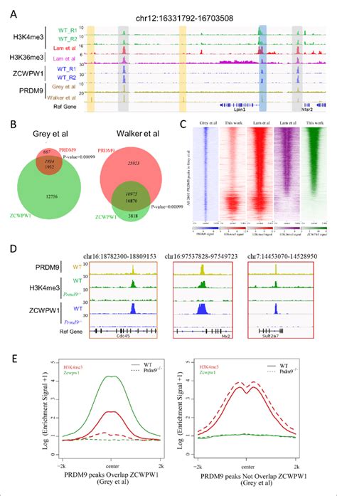 Icechip can also be used to calibrate chip mated to qpcr. Zcwpw1 binding is strongly promoted by the histone ...