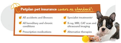 Read our reviews of petplan's policy benefits coverage and other pros and cons. PetPlan Pet Insurance Review
