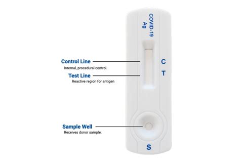 Healgen Covid Rapid Antigen Test Tests Cater Supplies Direct