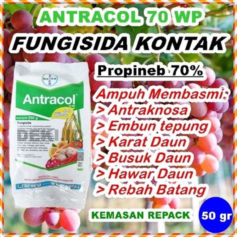 Jual Fungisida Kontak Antracol Wp Plus Zinc Gr Kemasan Repack Obat Pembasmi Hama Jamur