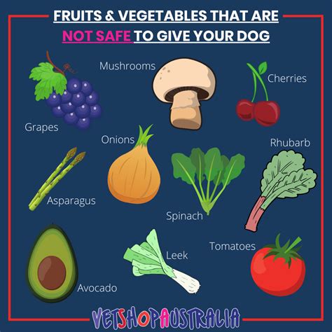 Fruits And Vegetables Your Dog Can Safely Eat Vetshopaustralia