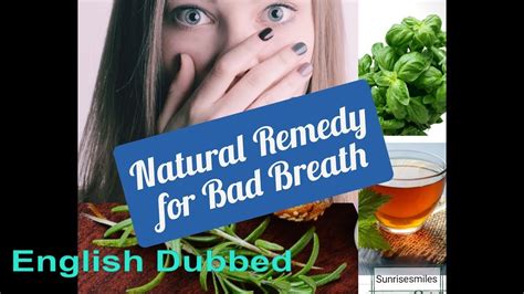 home remedy for bad breath natural solution for bad breath sunrisesmiles youtube