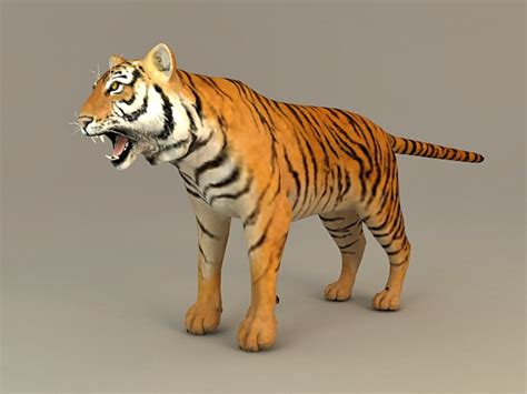 Fully rigged and animated tiger 3d. Bengal Tiger 3d model 3ds Max,Autodesk FBX,Object files ...